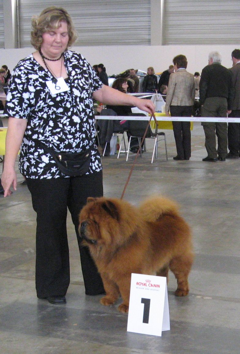 Best male-Gong Jing von Mien-Shan