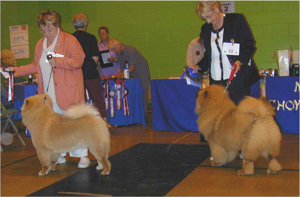 Best puppydog-1st Neuchow Oh Be One+2nd Fullforge Fergus For Setrof