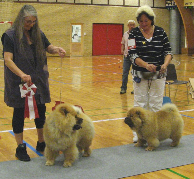 Best puppy Caribean Pirate Lietuvos Liutas+Best female puppy Dian Shan Prescient Matia Hari