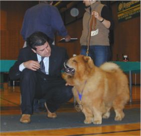 BOB-Bltands Mr.Fabrian Li-Yang-10 year