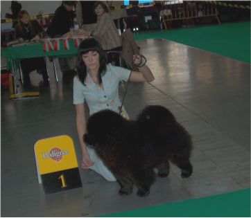 Best Puppy-Bon Triump Uma Turman