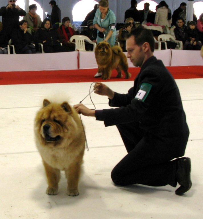 Burian-Exc.3-Intermediate male