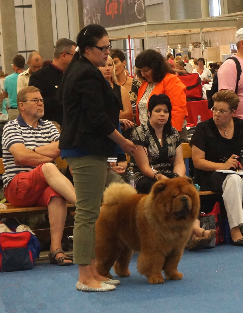 Open male 3. Have A Nice Day Dei Leoni Imperiali