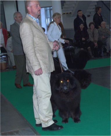 2.CH Males black Blue-CH Chopan Heres The Minstrel