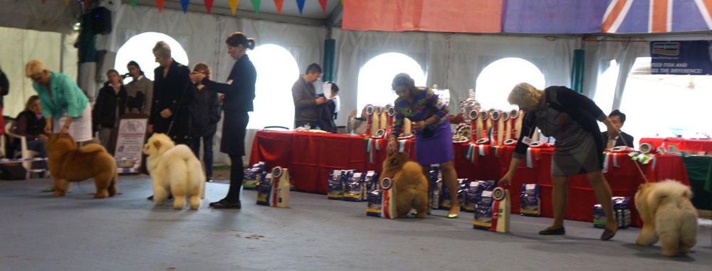 Champion bitches: 1. CH Bon Triumph Tiffany 2.CH Pei Fang Eyecatcher 3.CH Oh Yes Lietuvos Liutas 4.CH Le-Pash Shanty 