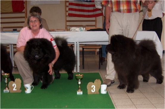 2. Chowderny Xingling-Shi + 3. CH Chopan Heres The Minstrel