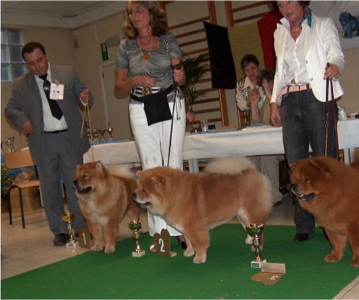 CH class females other colours: 1. CH From Day To Day Del Fiume Giallo