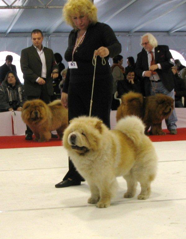 CH Le-Pash Gendolf exc.-Champ.male