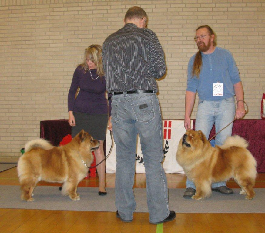 CH female 1.+BB4 CH Bidachows Joyfull Jossie 2.CH Bao-Fangs Feng Mi