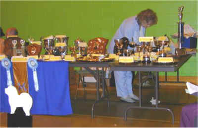COTY 2004 - Cups and trophies