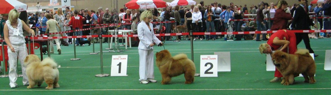 Champion males (not placed)