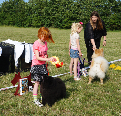 Child from 4 year and dog