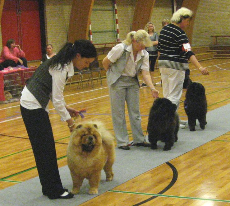 Competition for female Certificate 1.Litchi Chow Dina Shan (right) 