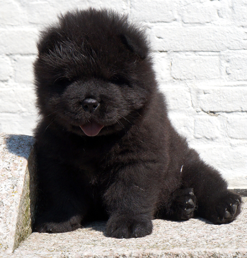 Count Down (black male)