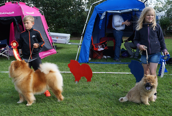 Child (under 10 year) and dog 