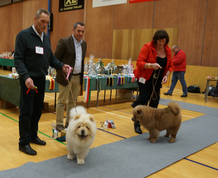 BIS Puppy (left): Brilliance Lovelace Mon Sher 2.Ikaros Von Reichenberg