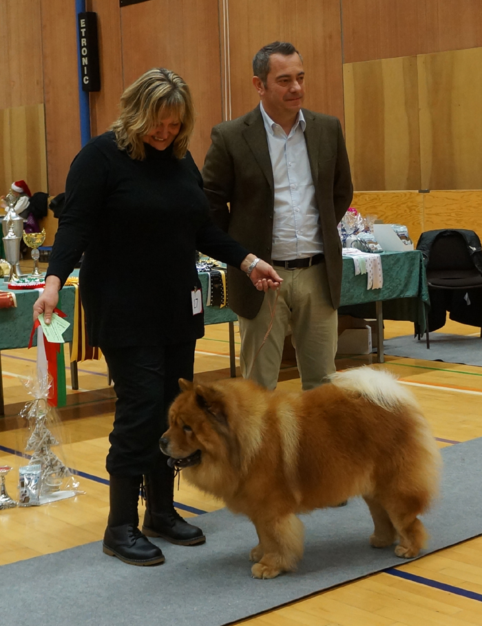 BIS Veteran Pelis Jing Balou Of Flensborg