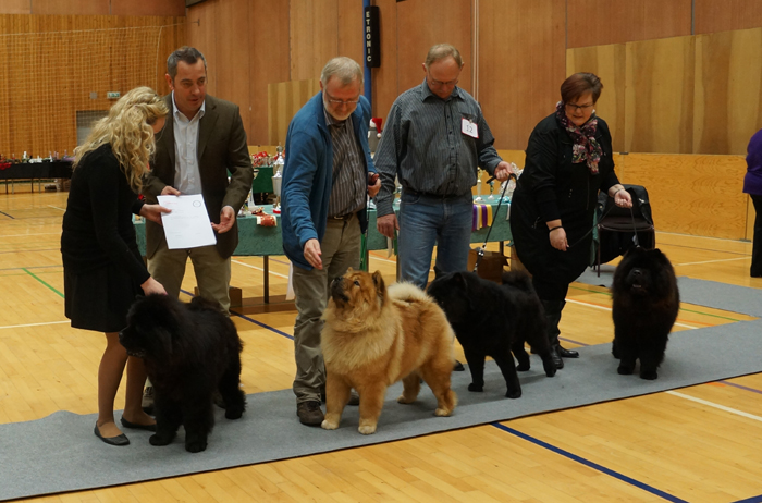 Best breeders class: Bidachows