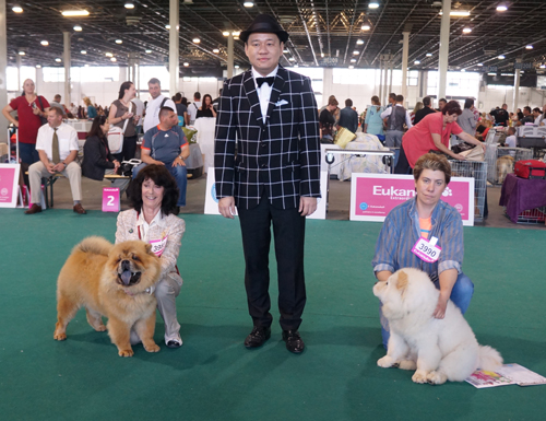 Puppy females 1.Castelbarbara Prickley Holly 2. K'vanfish S'muve Energia Kosmosa