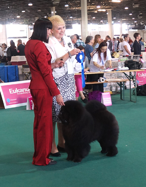 Best Junior, Junior World Winner Dog 2013- Legend of the Black Diamond Dei Leoni Imperiali