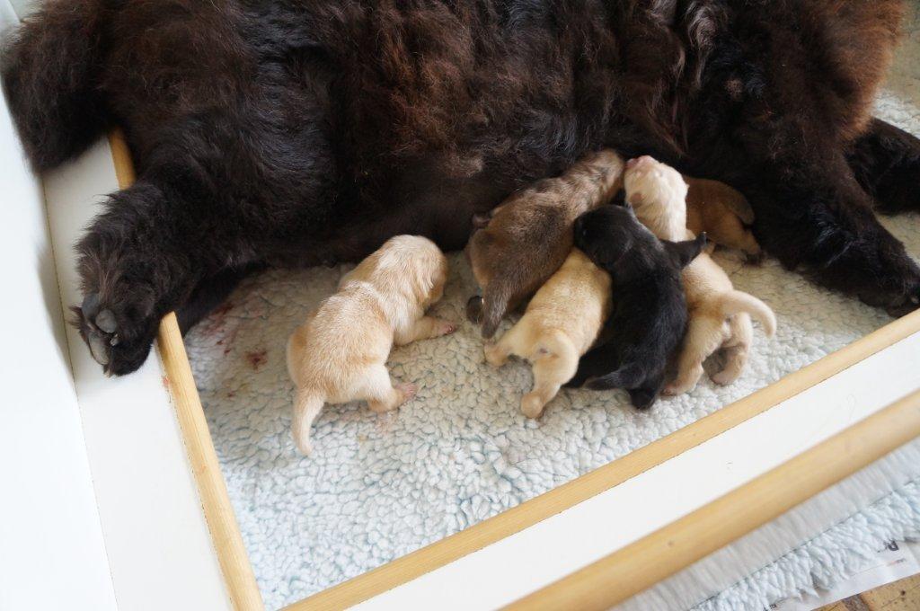 2 days old