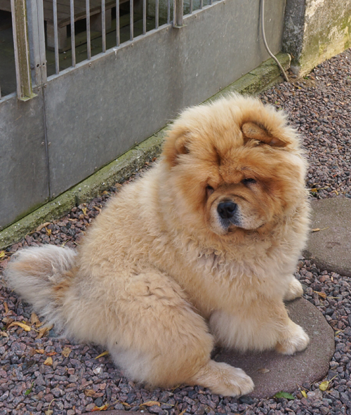 9 month old