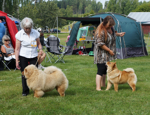 Best puppy (left) Minillas James Bond - Best femalepuppy Zhenshi Francesca