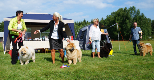 Junior males 1. Brillance Lovelace Mon Sher 2. Piuk Chow Plenty Of Summer Success 3. Fun Hais Bonus 4. Bellmusos Adamo