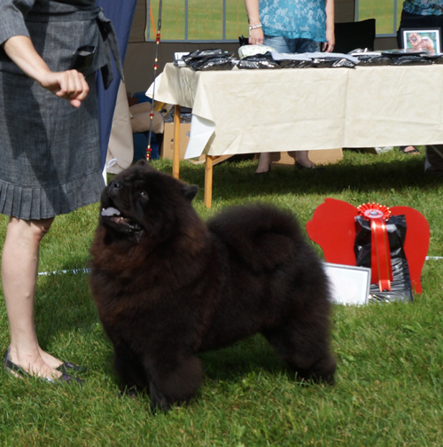 Open male 1. Long Feng Captain Jack Sparrow 
