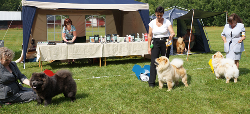 Junior female 1. Chow-Yaps Harmony In Blue 2. Liusu Bei-Bonchi 3. Beauty Queen Mon Sher