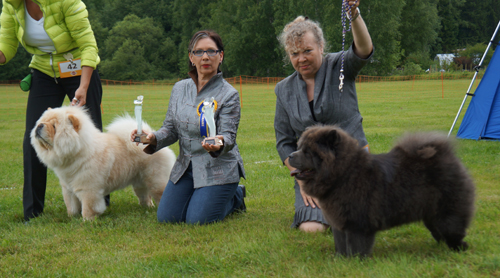BOB junior Brillance Lovelace Mon Sher BOS junior Chow-Yaps Harmony In Blue 