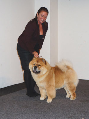 Piuk Chow Plenty Of Summer Success - JunCert+Cert-Best male 3