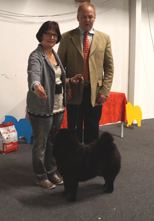 Grazioso's Nice Pepsi Zu'tzungle - Cert + Best female 2 - New DKCH