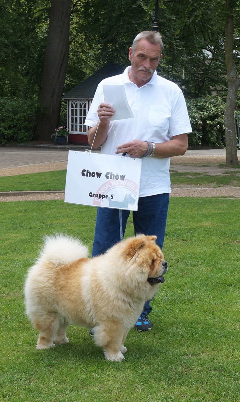 CH Mi-Pao's Red Sumac represented the chow chows