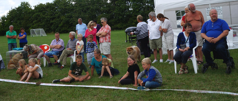Audience 