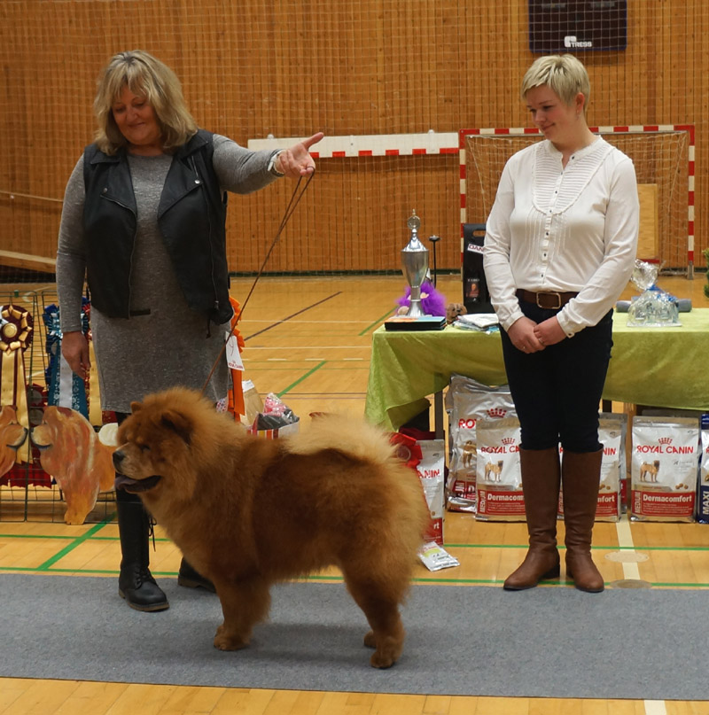Best intermedia dog + Best dog 3 Batton Fon Fragoky