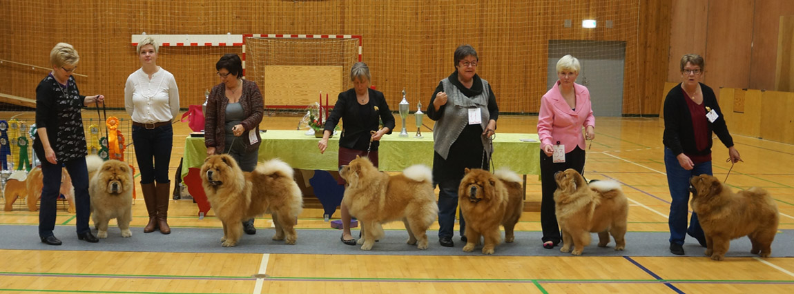 Progeny after CH Mi-Pao's Red Sumac (left)