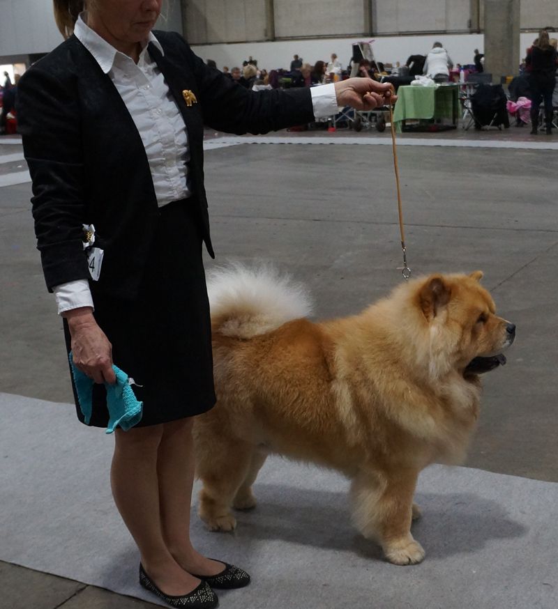 Skychow's Amazing Goldfinger - Excl.JK1 CK