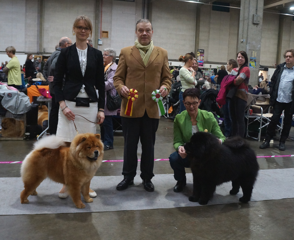 BOB (left): Bao-Fang's Hong-Se Yue-Liang BOS: CH Bidachows Amazing Aslak 