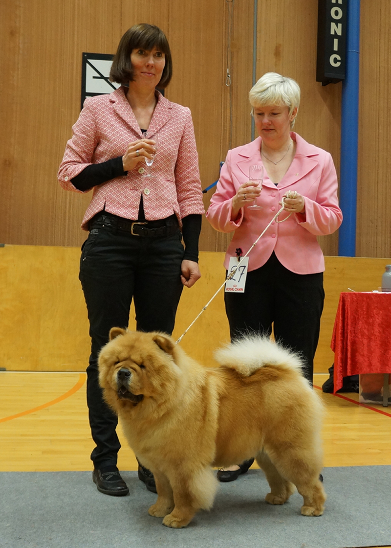 New Champion: CH Stagebo's Angel Of The Morning