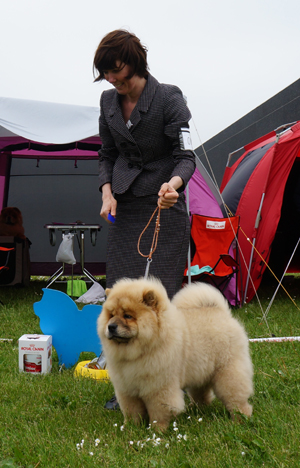 2nd in puppymale Orinell's Over And Out