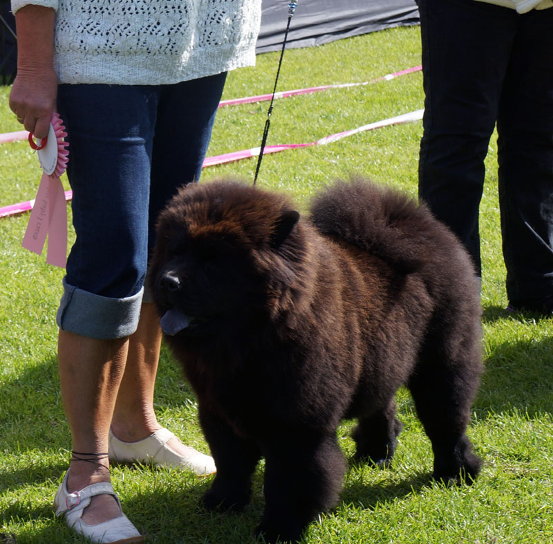 Best Baby: Ba-Tong's Anuska - ain't she sweet