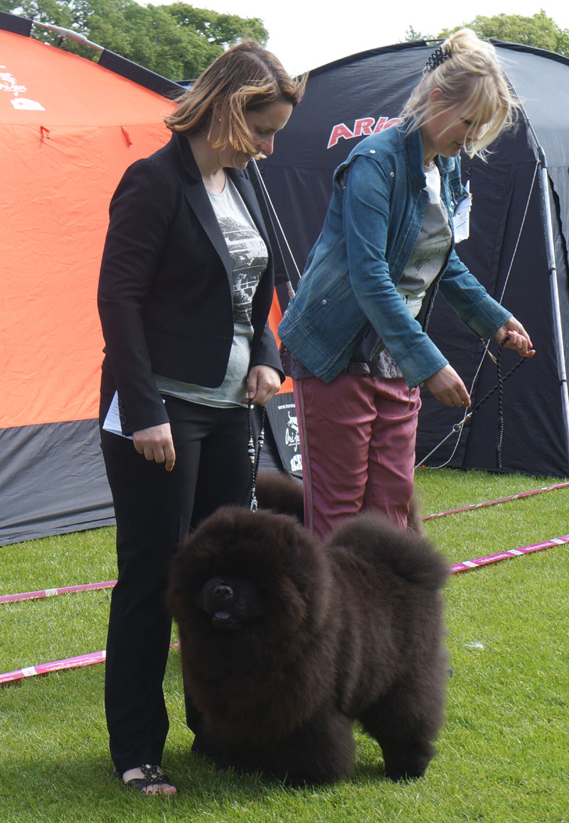 Best puppy: Long Feng John Bosley