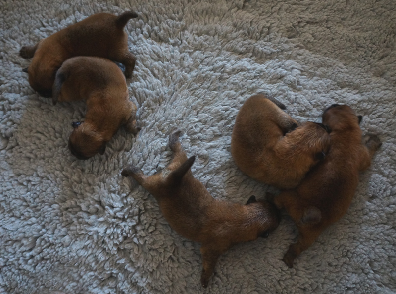 The boys 1 week old