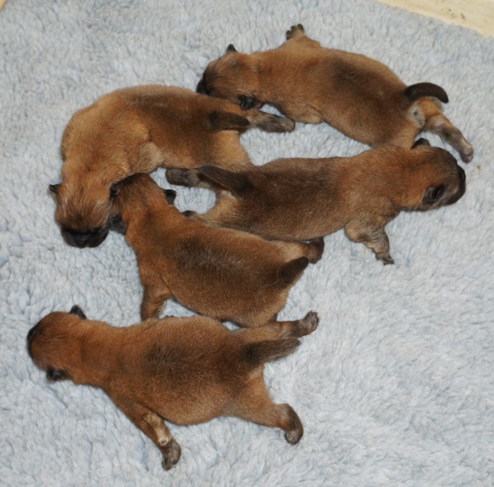 The boys 1 week old
