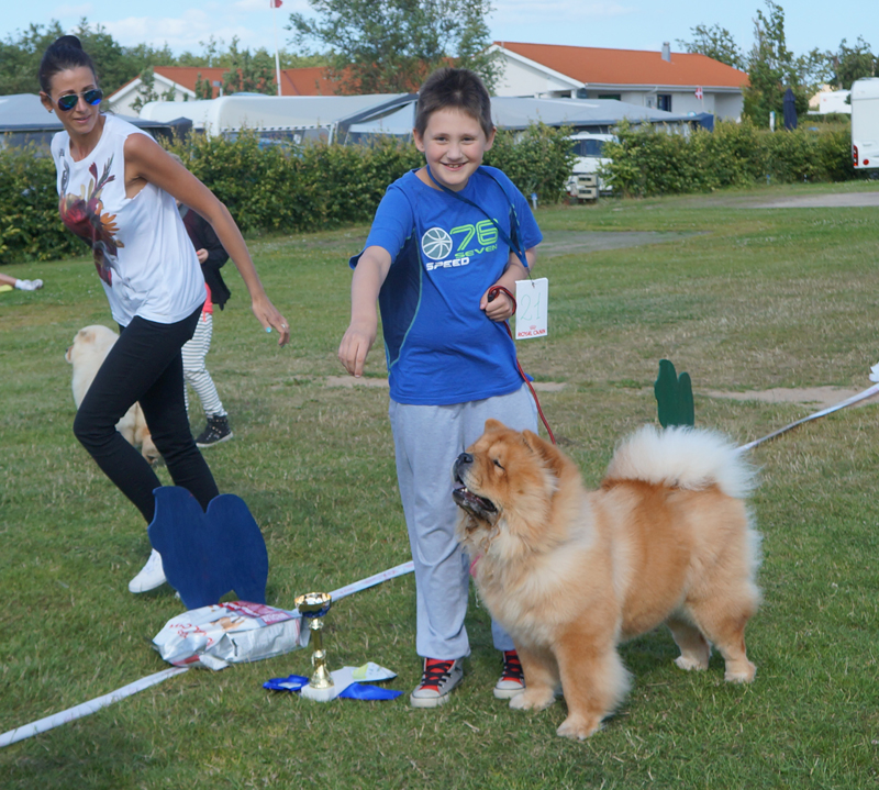 Child and dog competition
