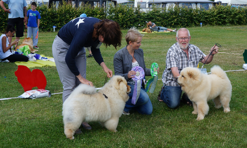 Best puppy (left) Orinell's On And On-Best puppymale Ba-Tong's Simba The Lucky Star