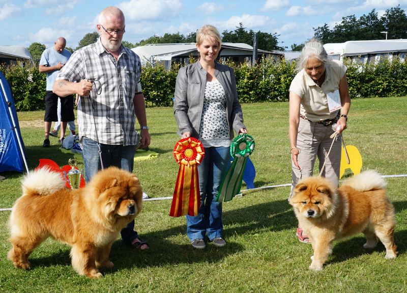 BOB (left) Ba-Tong's Magic Master Mongo-BOS Bidachows Tip Top Tessa 
