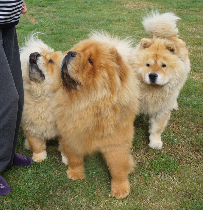 Eryk and the girls