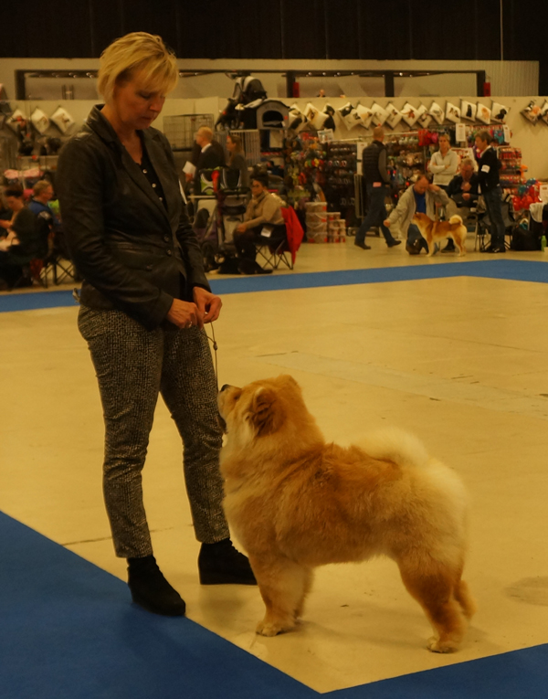 Intermedia female 1.+Best Female 4: Purpl Sheides Vogue La Champ